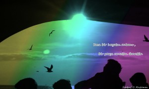 IMAG0088_edit0