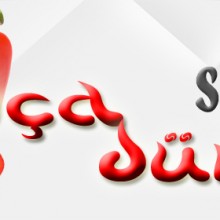 Salça Dünyası